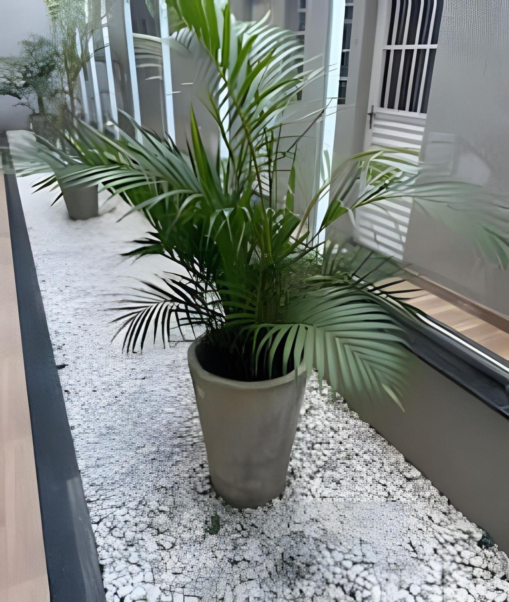 Apartamento New - Confortavel, Novo E Lindo