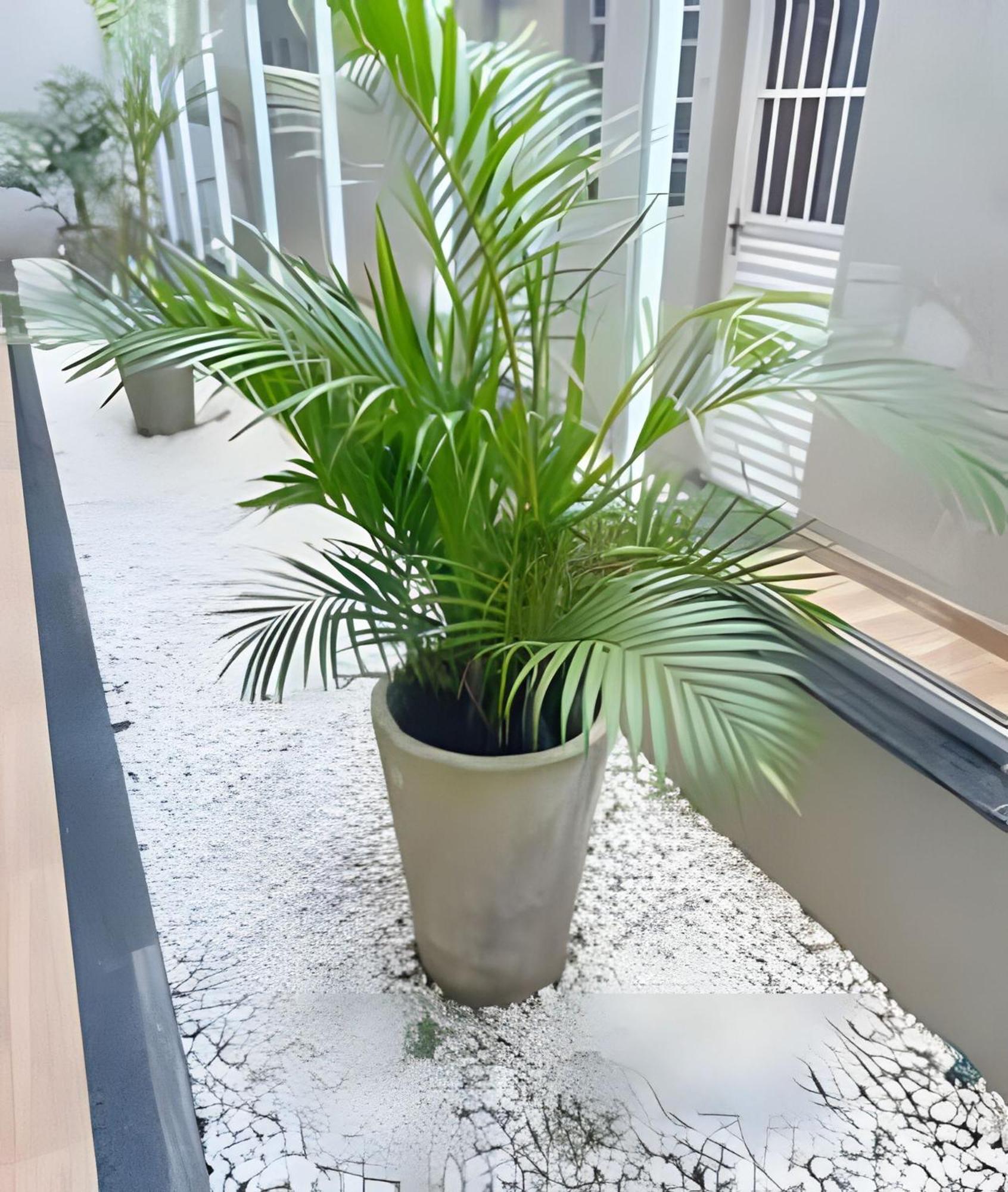 Apartamento New - Confortavel, Novo E Lindo
